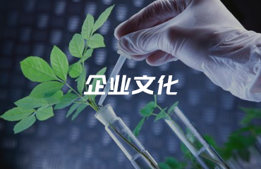 华人策略研究论坛
