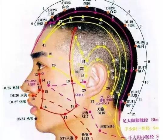 中药头疗