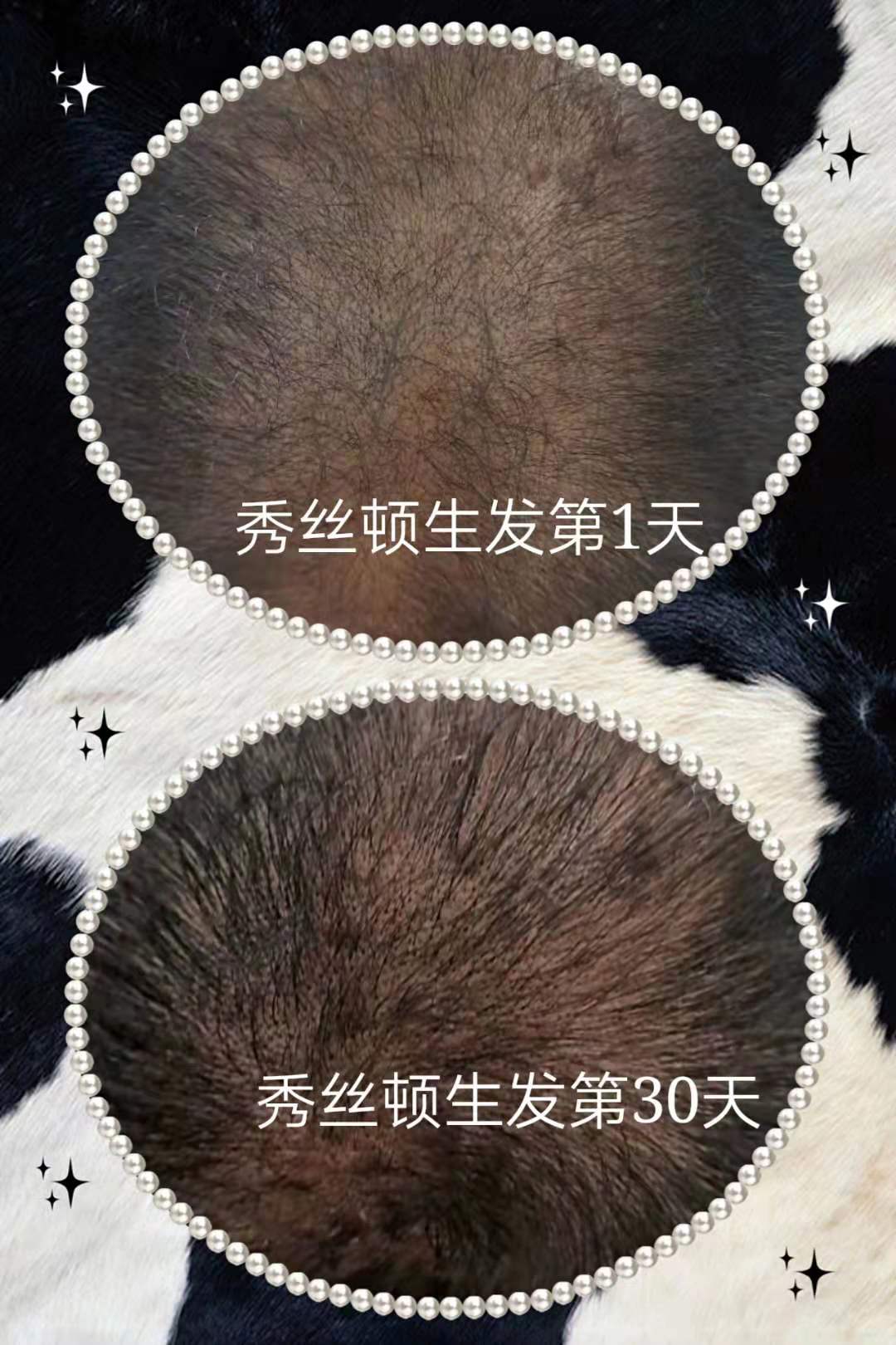 秀丝顿植物养发时尚健康自然自信。让我们一起保护环境，爱护自己，选择自然植物养发。