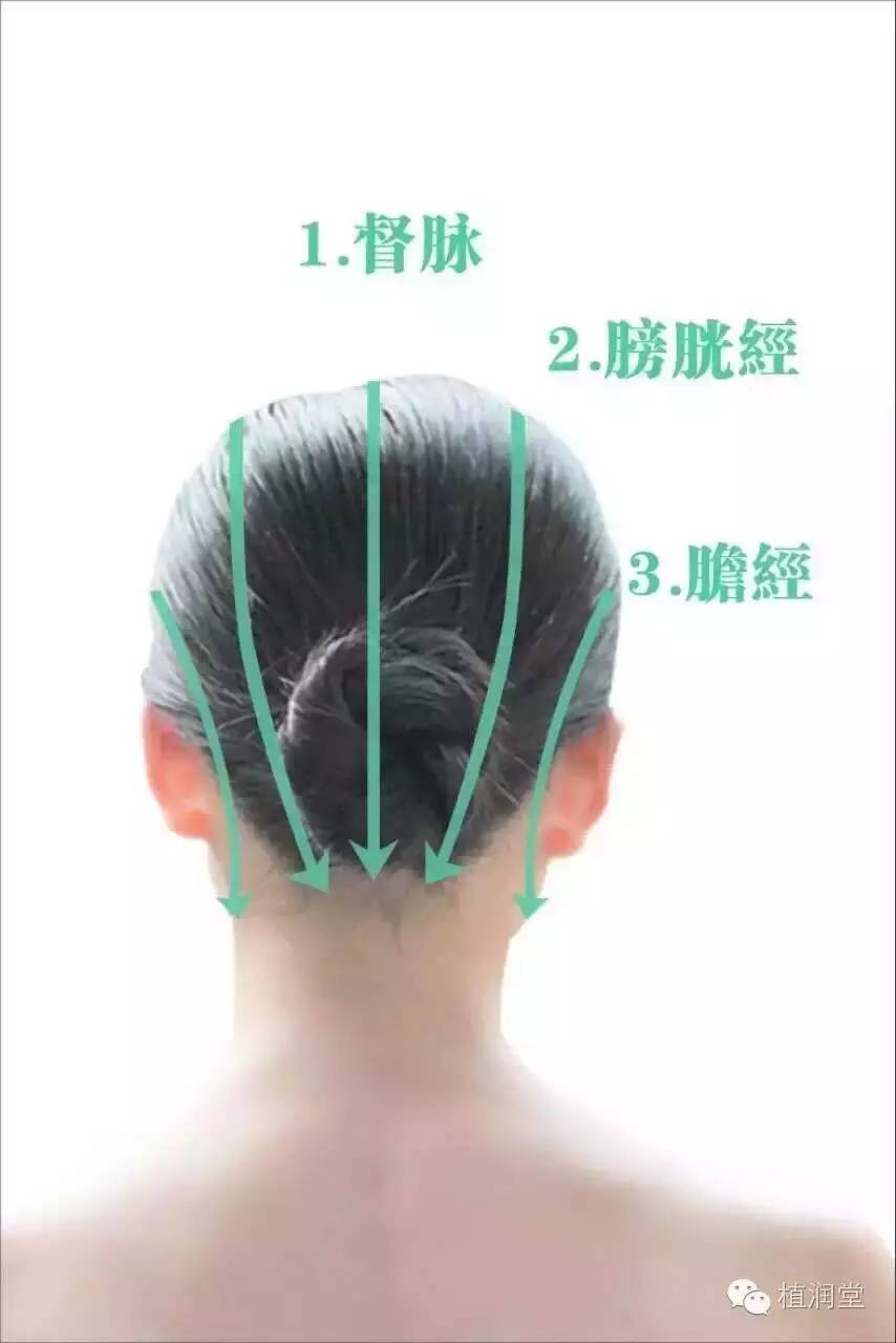 秀丝顿中药头疗改善头油大，头痒，脱发，乌发等功效
